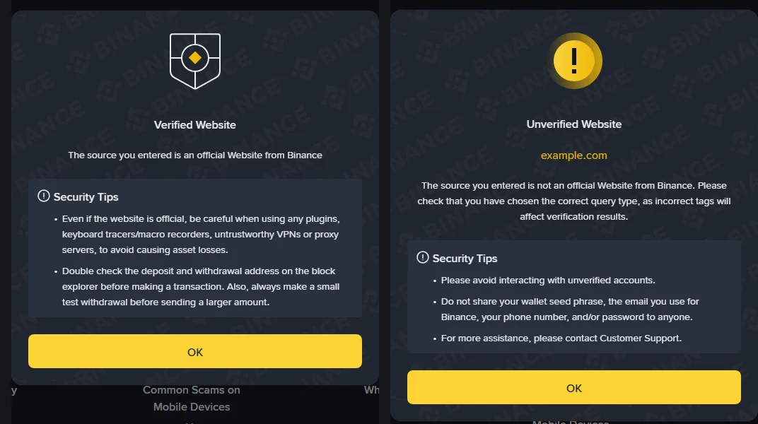 Binance Verify 조회 결과 비교: 왼쪽은 Verified Website, 오른쪽은 example.com에 대한 Unverified Website 안내창
